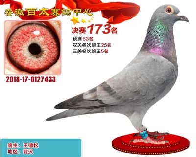 安徽百太决赛173名