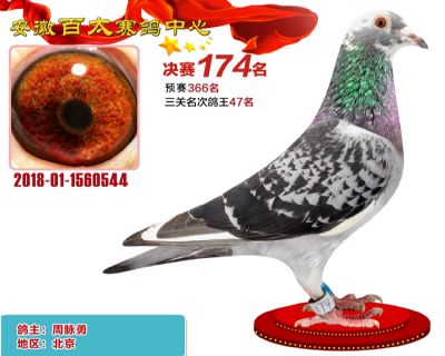 安徽百太决赛174名