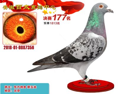 安徽百太决赛177名