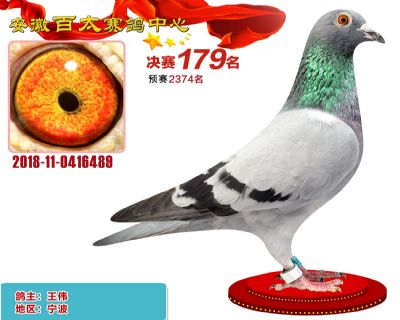 安徽百太决赛179名