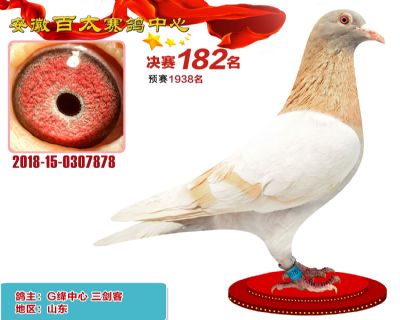 安徽百太决赛182名