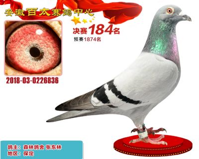 安徽百太决赛184名