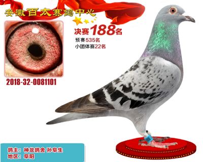安徽百太决赛188名