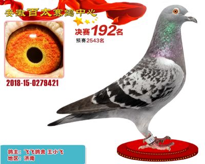 安徽百太决赛192名