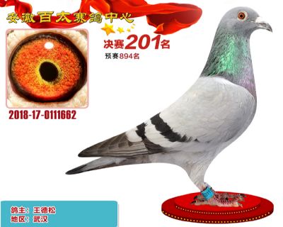 安徽百太决赛201名