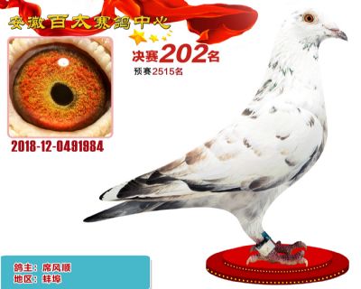 安徽百太决赛202名