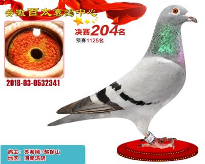 安徽百太决赛204名