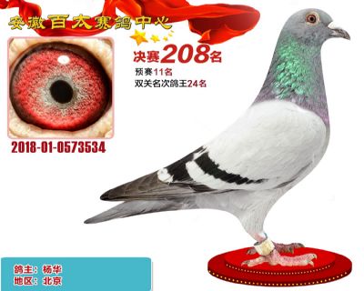 安徽百太决赛208名