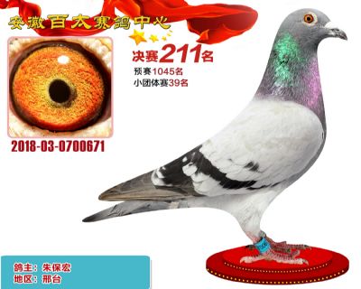 安徽百太决赛211名