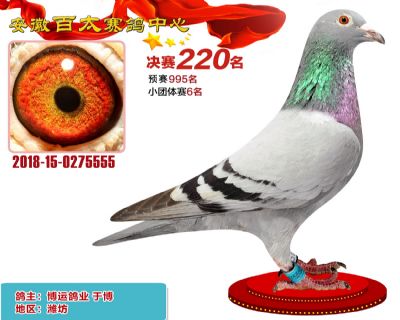 安徽百太决赛220名