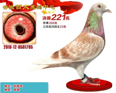 安徽百太决赛221名