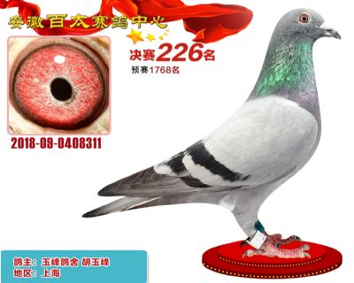 安徽百太决赛226名