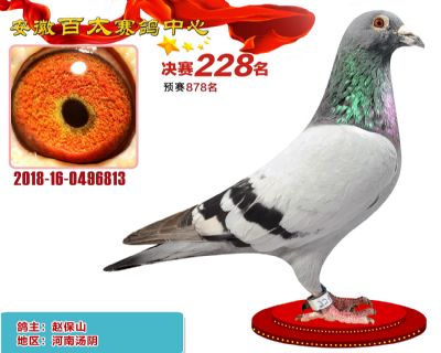 安徽百太决赛228名