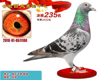 安徽百太决赛235名