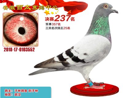 安徽百太决赛237名
