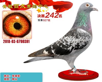 安徽百太决赛242名