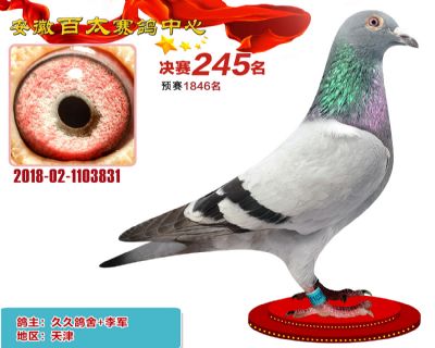 安徽百太决赛245名
