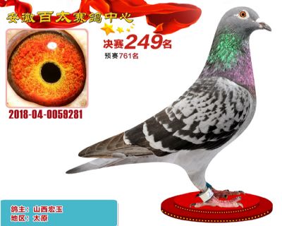 安徽百太决赛249名