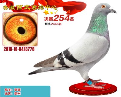 安徽百太决赛253名