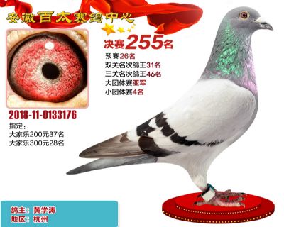 安徽百太决赛254名