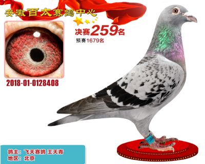 安徽百太决赛259名
