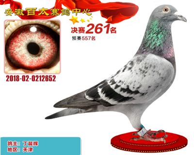 安徽百太决赛261名