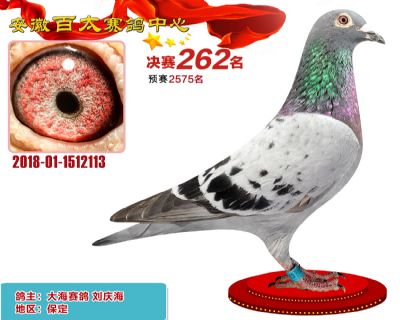 安徽百太决赛262名