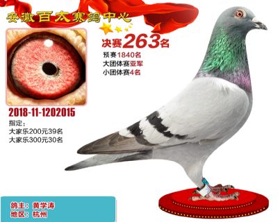 安徽百太决赛263名