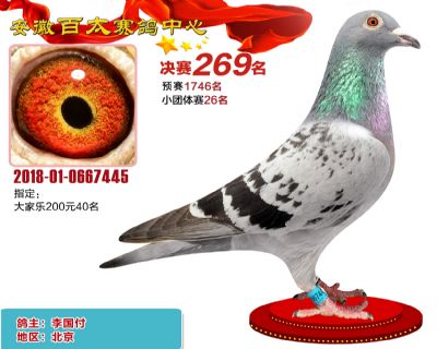 安徽百太决赛269名