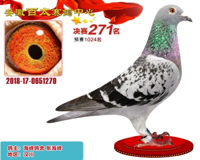 安徽百太决赛271名