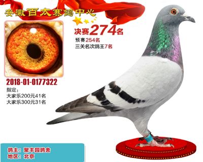 安徽百太决赛274名