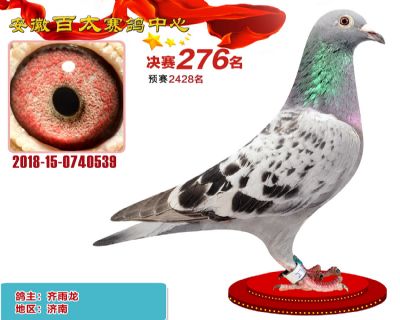安徽百太决赛276名