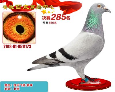 安徽百太决赛285名