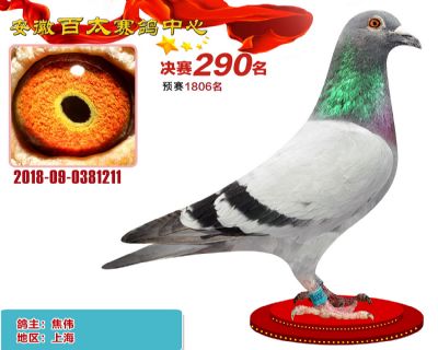 安徽百太决赛290名