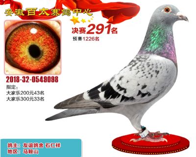 安徽百太决赛291名