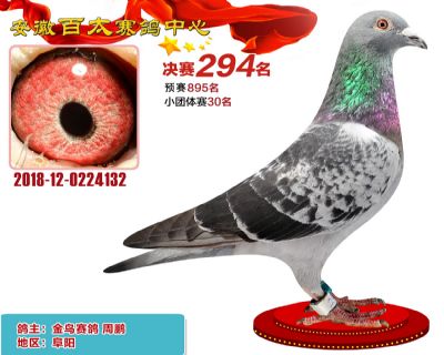 安徽百太决赛294名