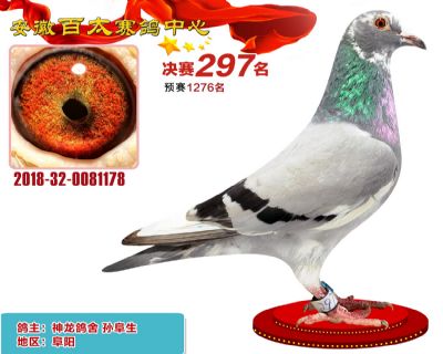 安徽百太决赛297名