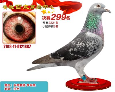 安徽百太决赛299名