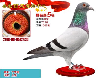 安徽百太加站赛5名