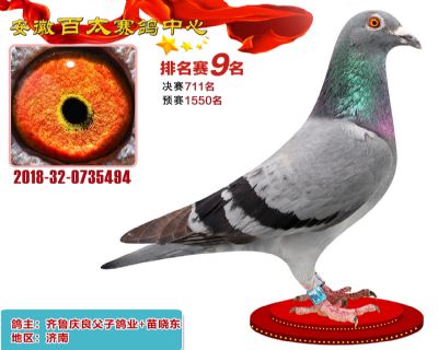 安徽百太加站赛9名