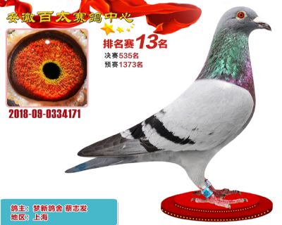 安徽百太加站赛13名