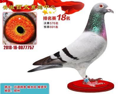 安徽百太加站赛18名
