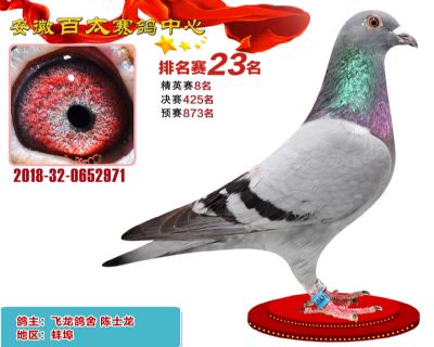 安徽百太加站赛23名