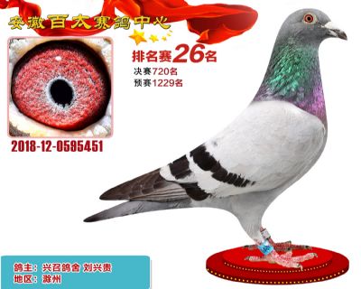 安徽百太加站赛26名