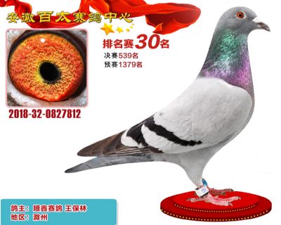 安徽百太加站赛30名