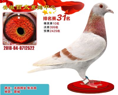 安徽百太加站赛31名