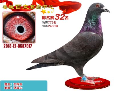 安徽百太加站赛32名