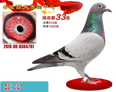 安徽百太加站赛33名