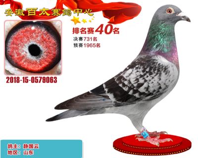安徽百太加站赛40名