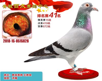 安徽百太加站赛41名